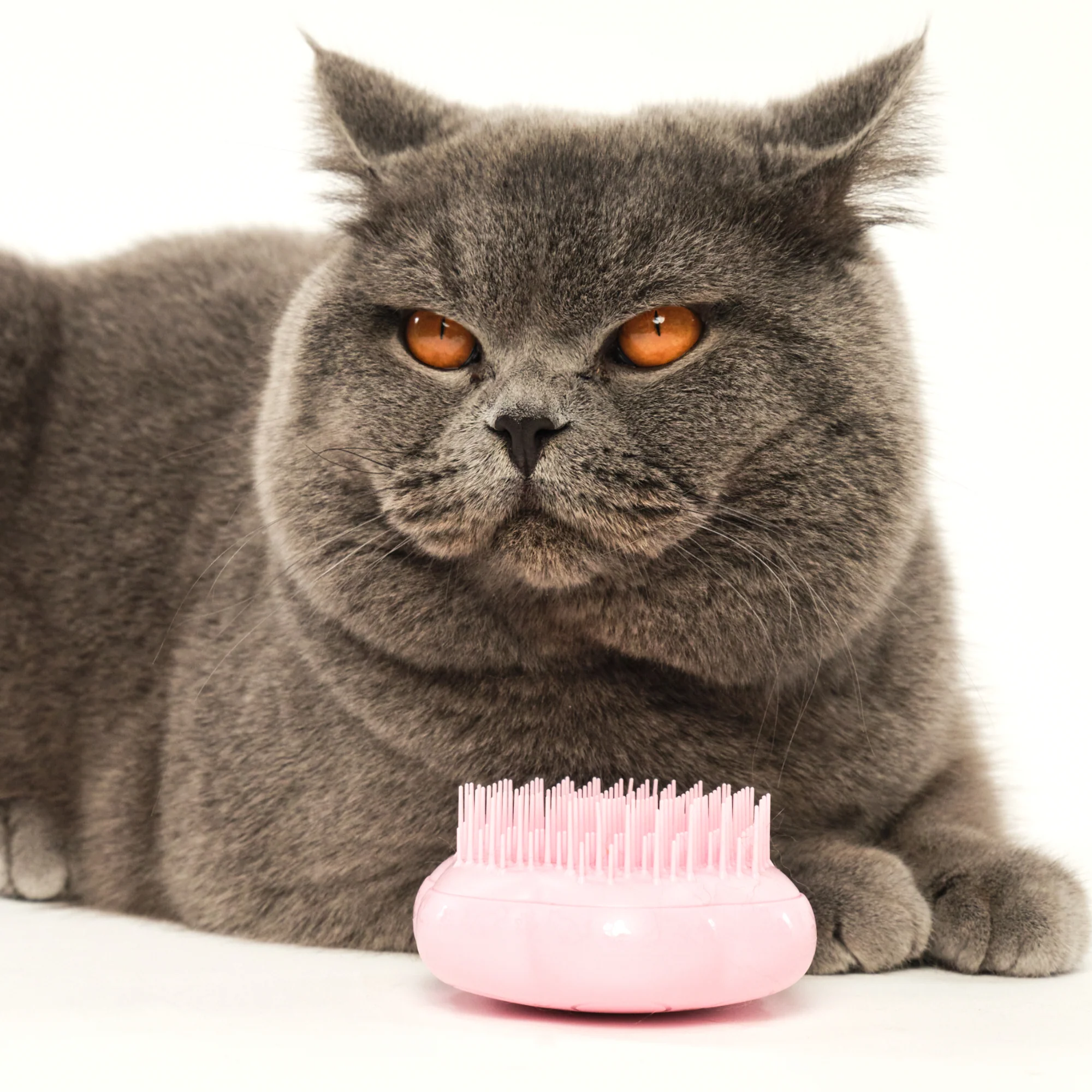 Cat Grooming Brush - Image 11