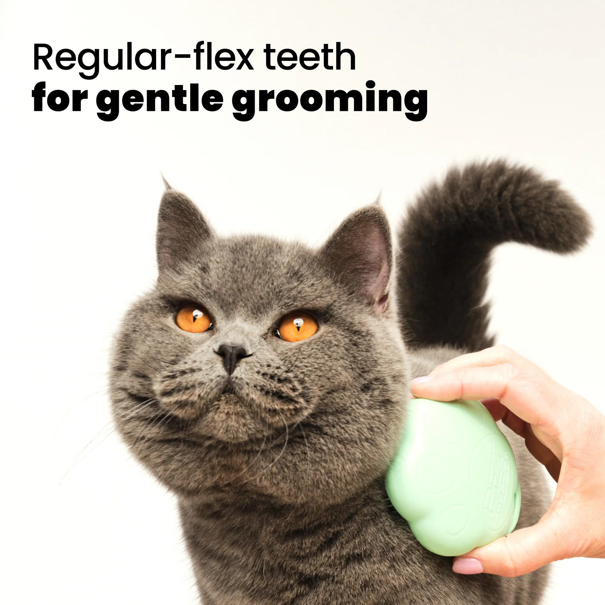 Cat Grooming Brush - Image 3