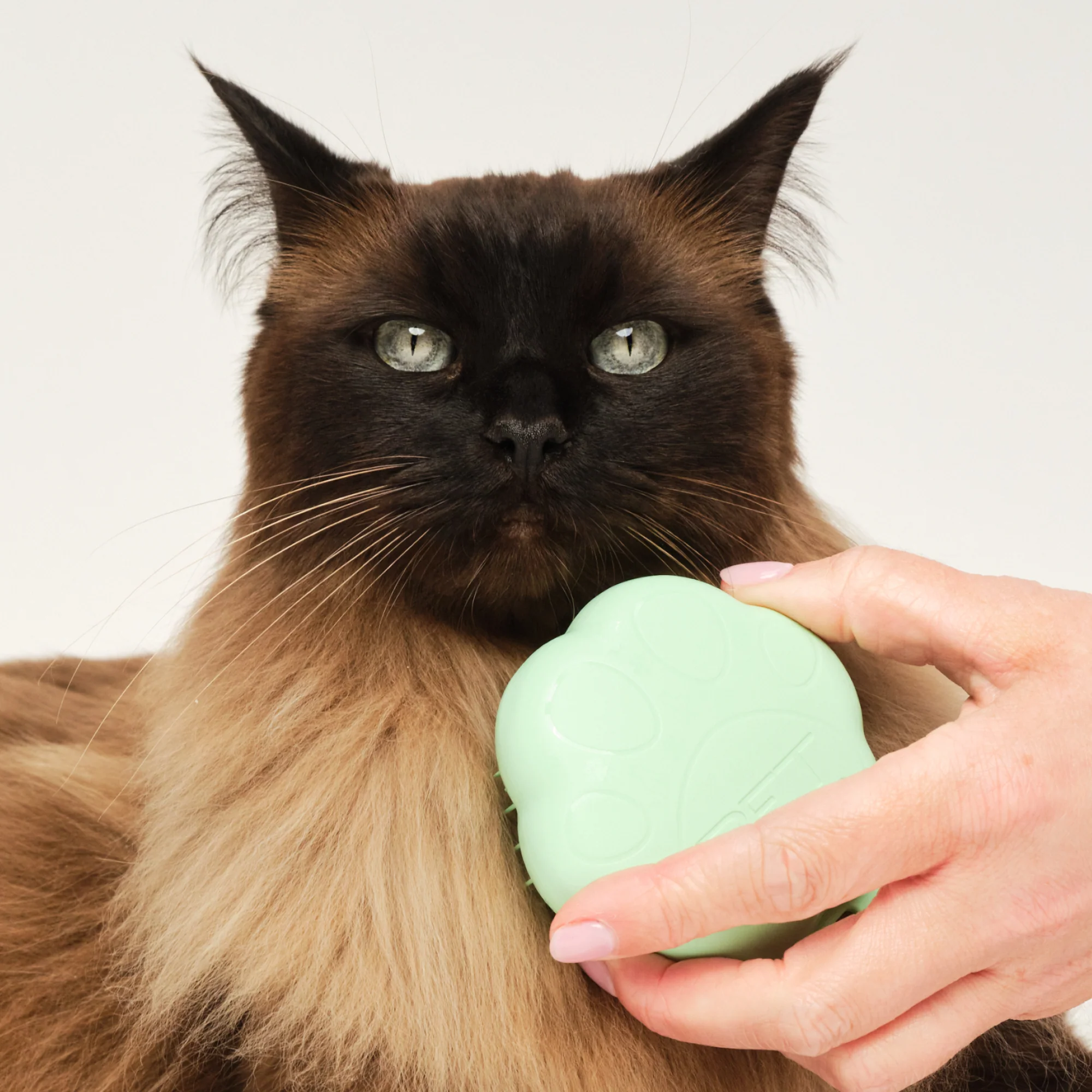 Cat Grooming Brush - Image 5