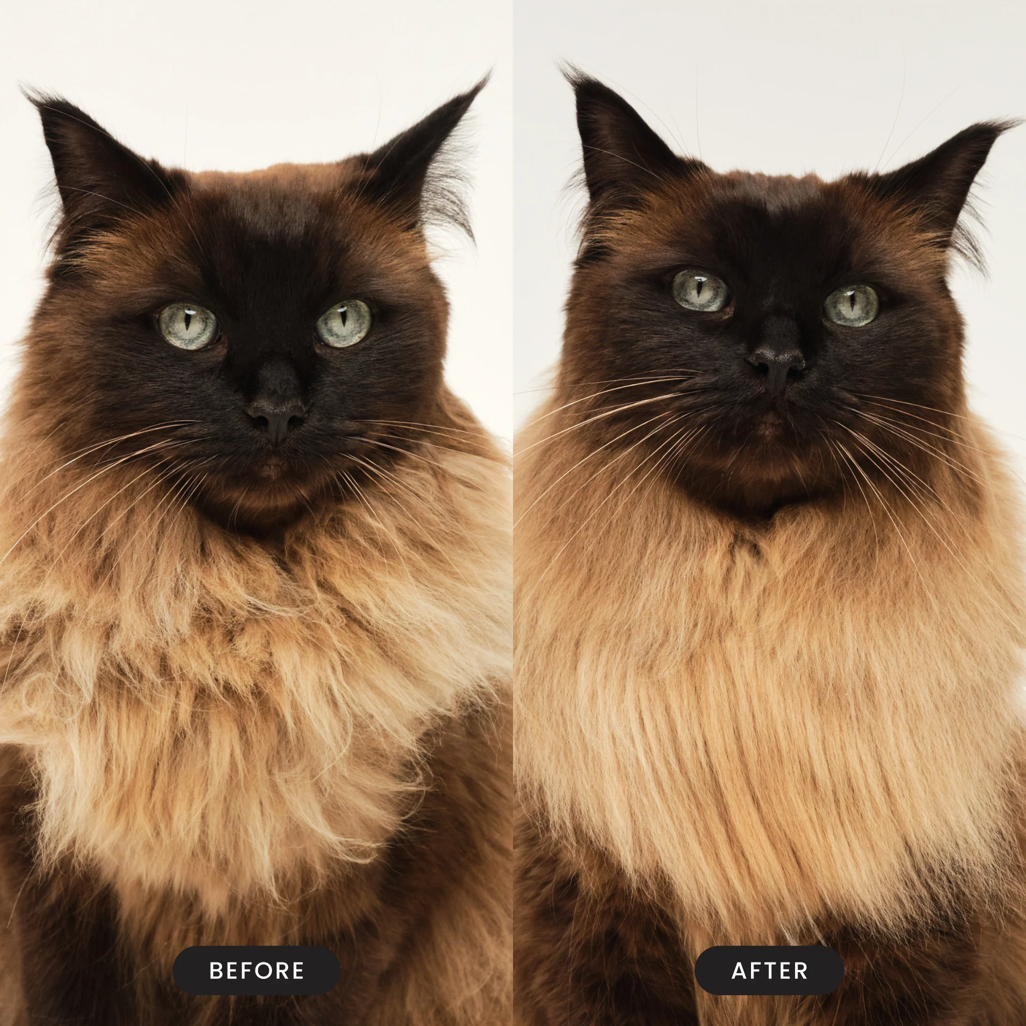 Cat Grooming Brush - Image 6