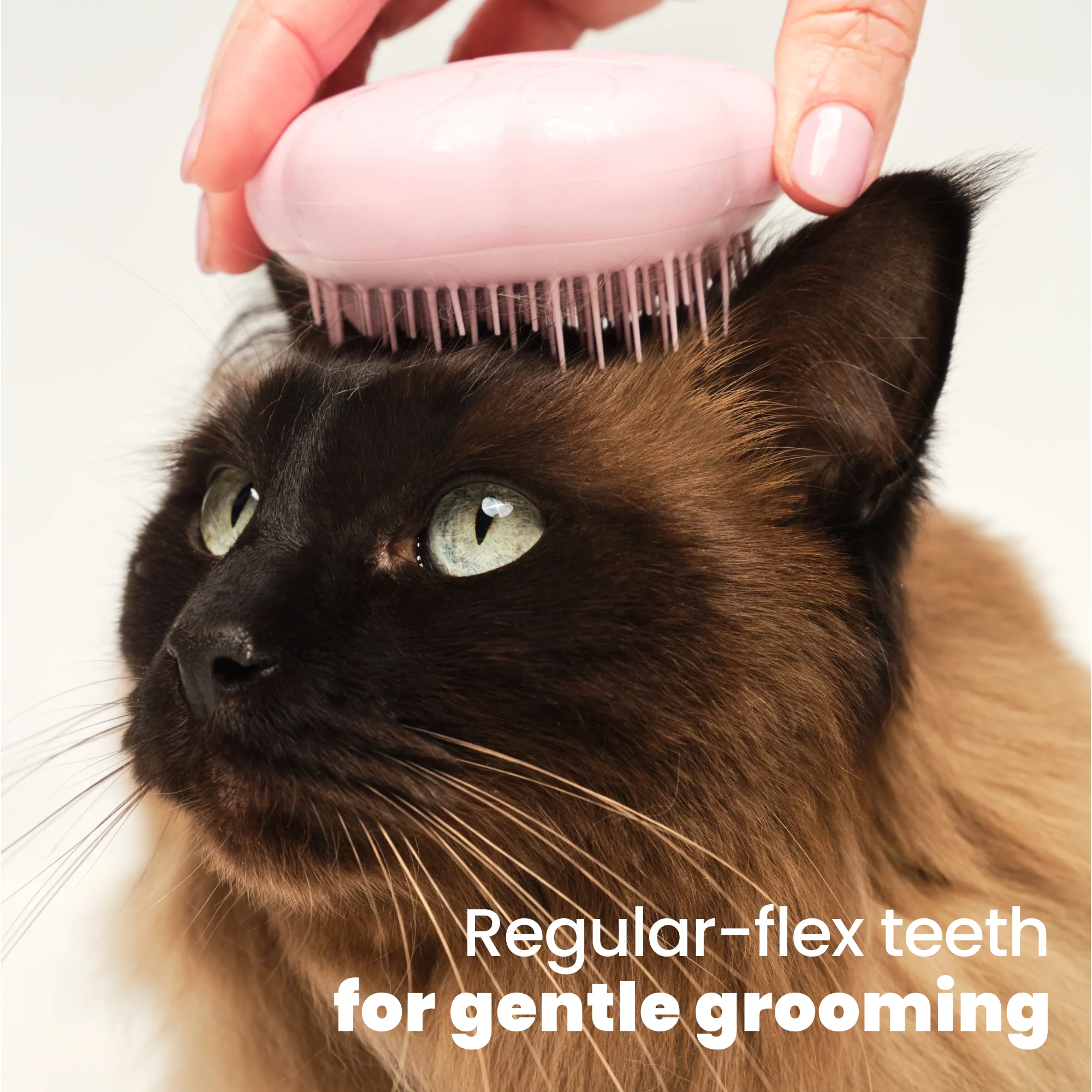 Cat Grooming Brush - Image 9