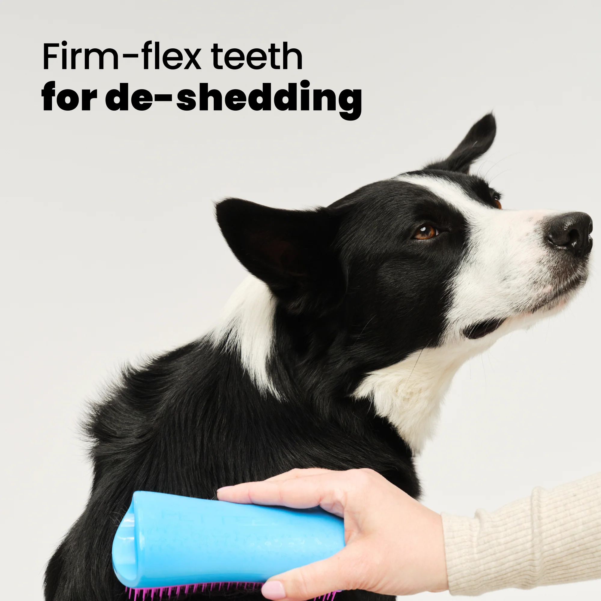 De-shedding Dog Grooming Brush - Image 10