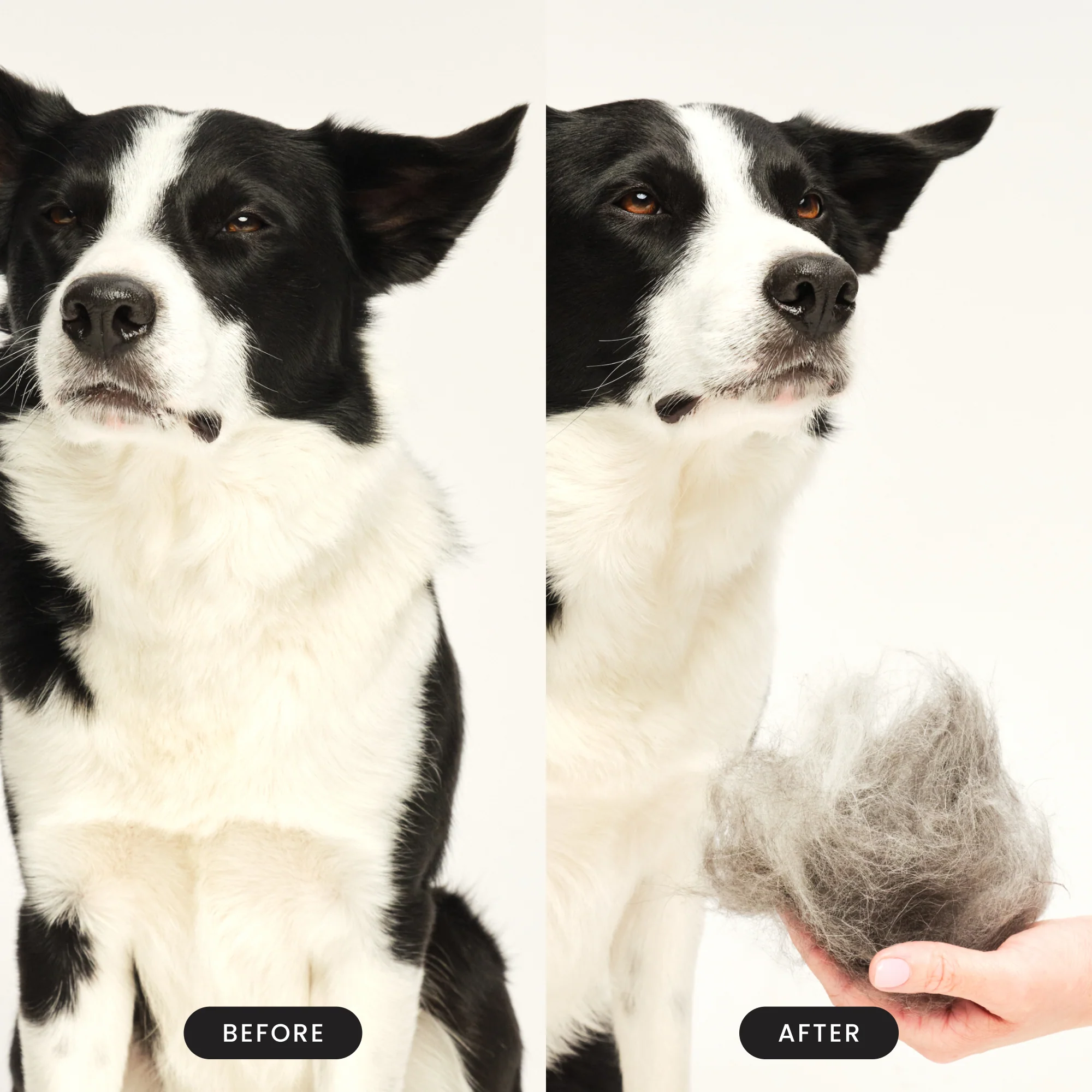 De-shedding Dog Grooming Brush - Image 12