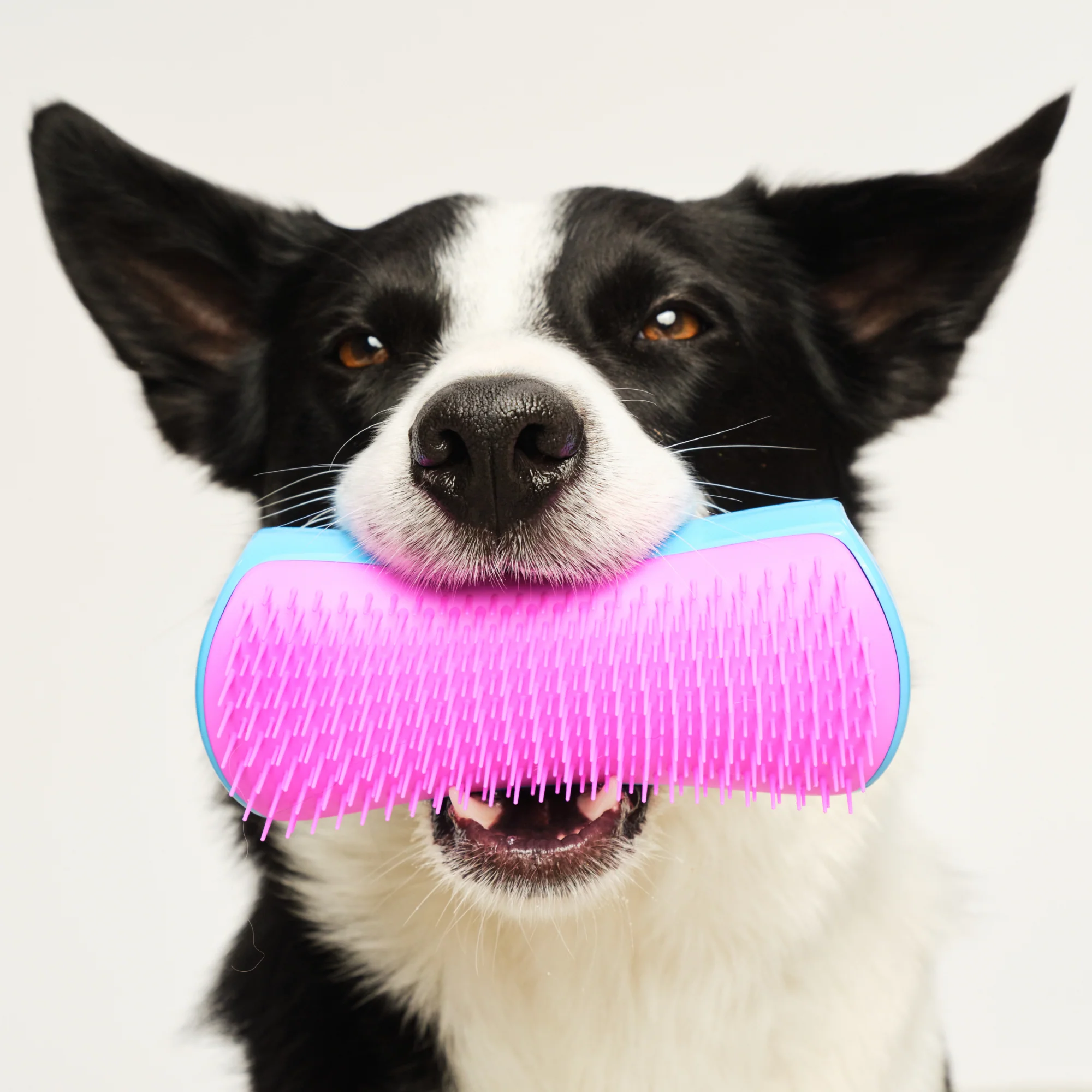 De-shedding Dog Grooming Brush - Image 14