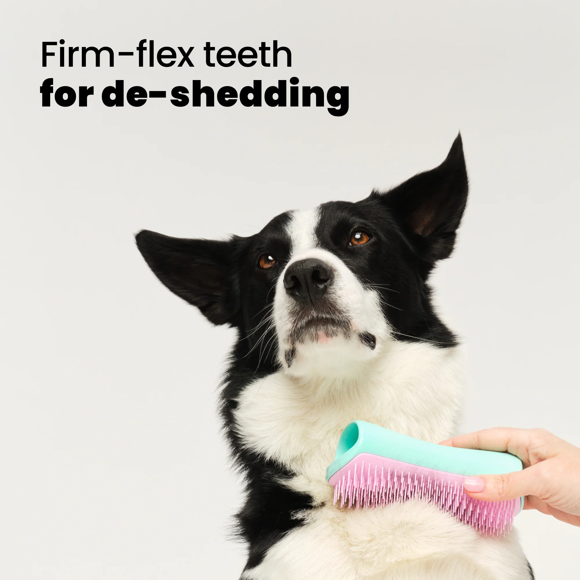 De-shedding Dog Grooming Brush - Image 17