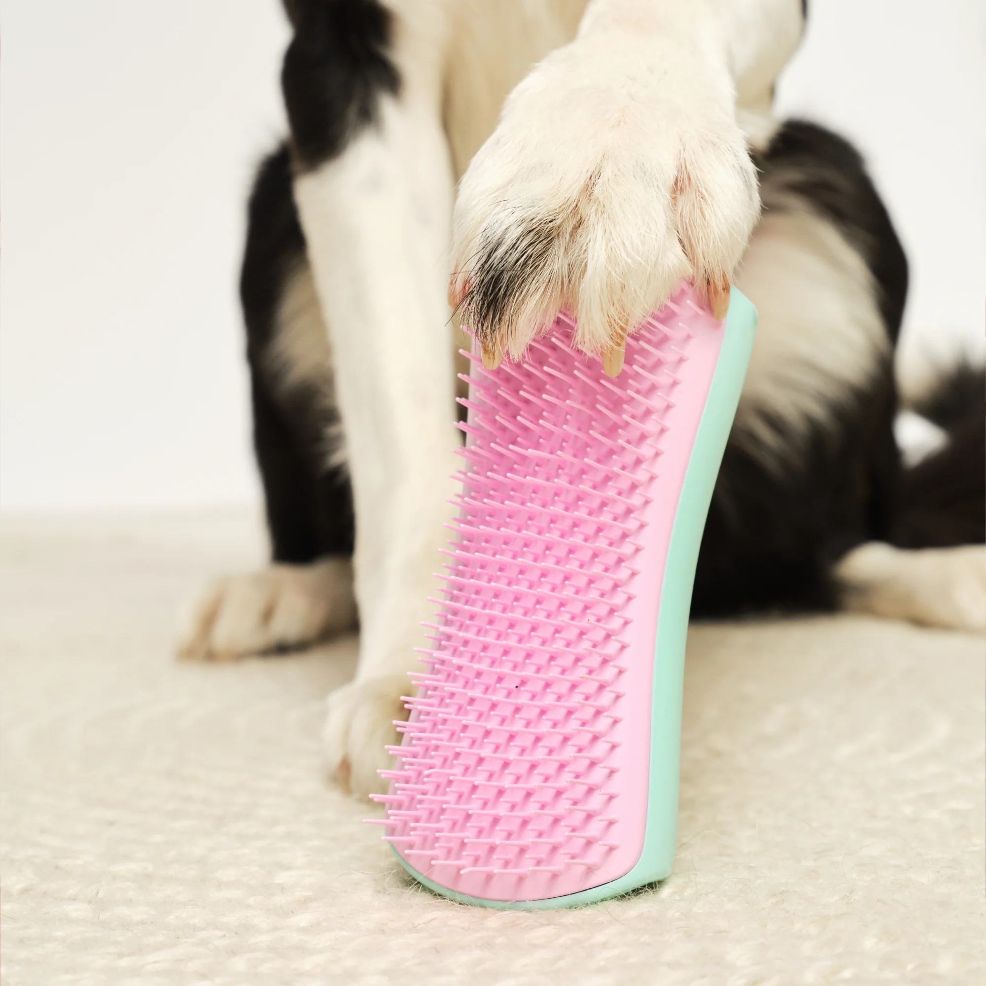De-shedding Dog Grooming Brush - Image 19
