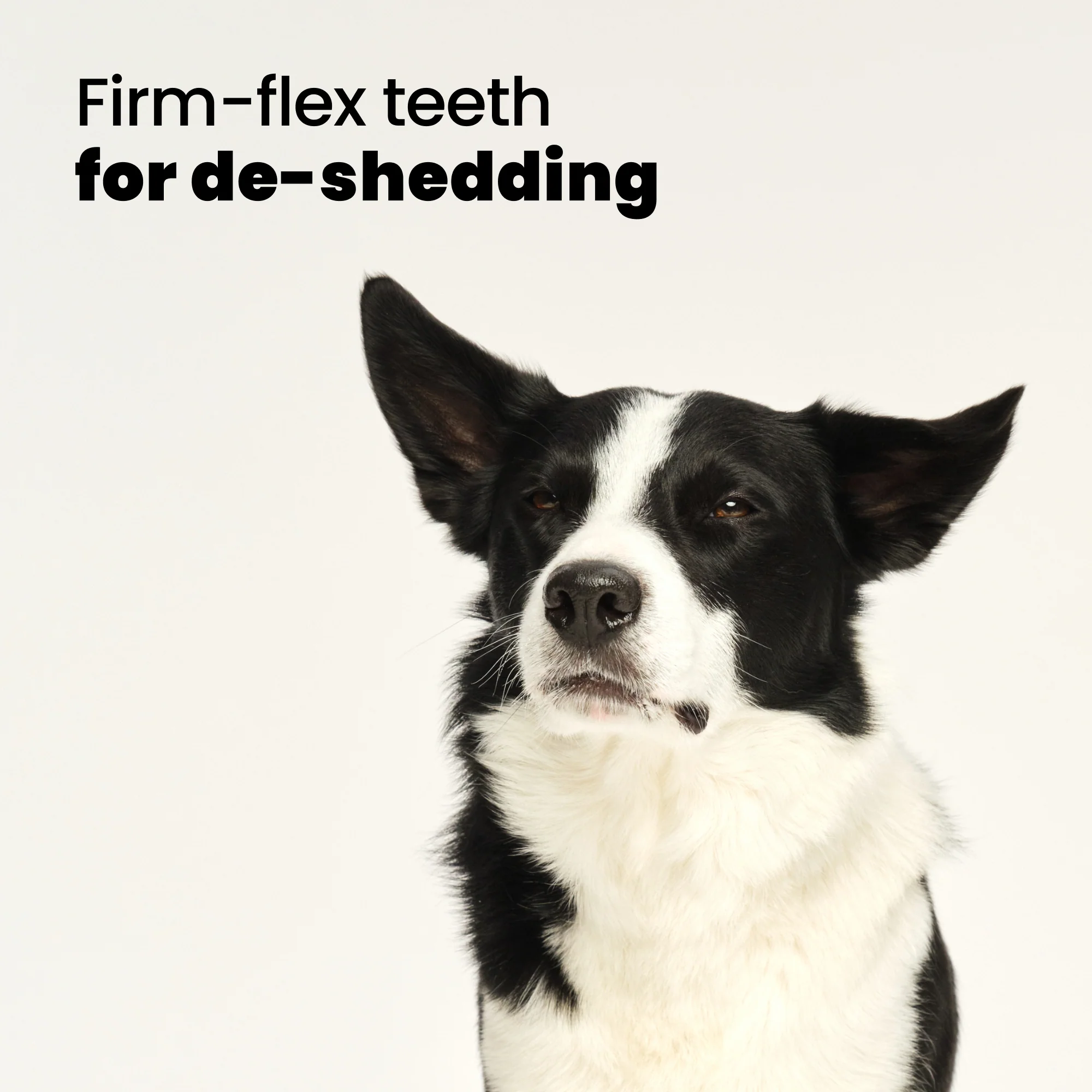 De-shedding Dog Grooming Brush - Image 24