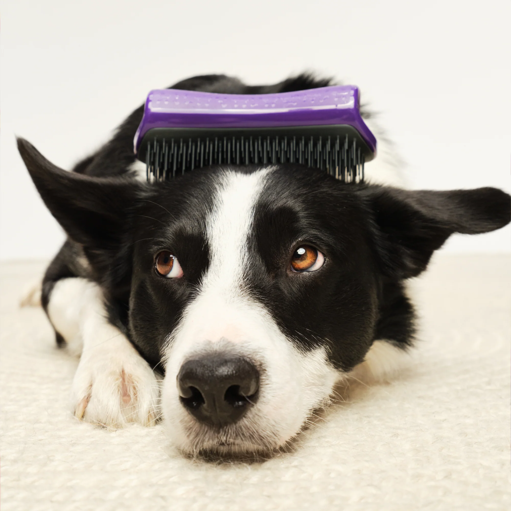 De-shedding Dog Grooming Brush - Image 5