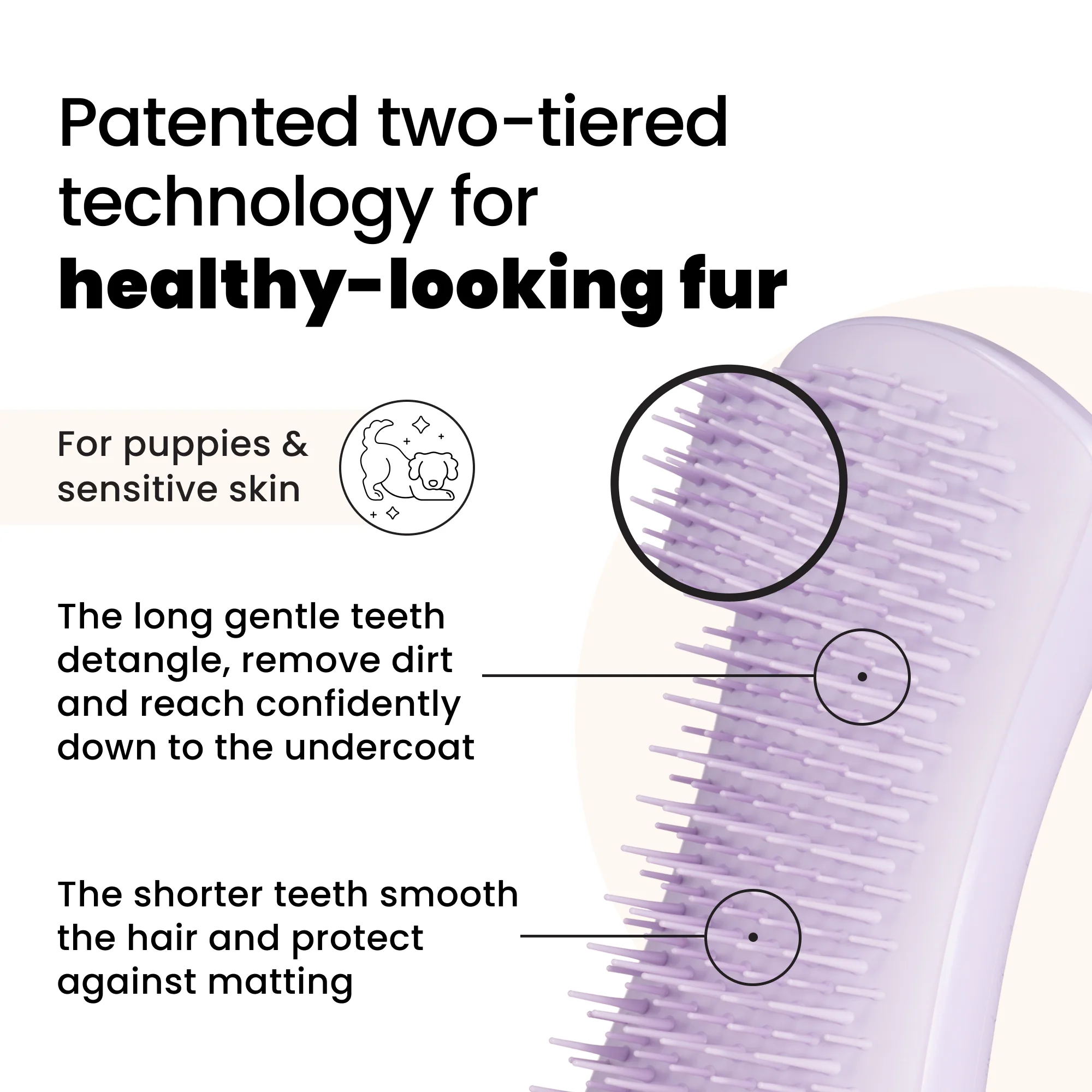 Puppy Brush - Image 10