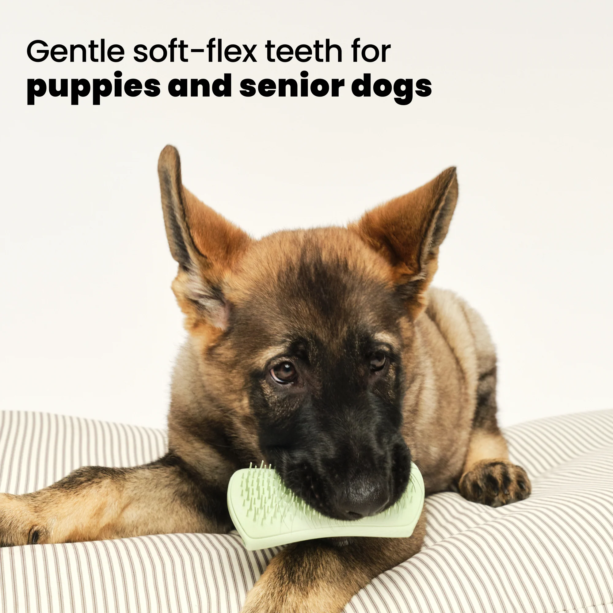 Puppy Brush - Image 3