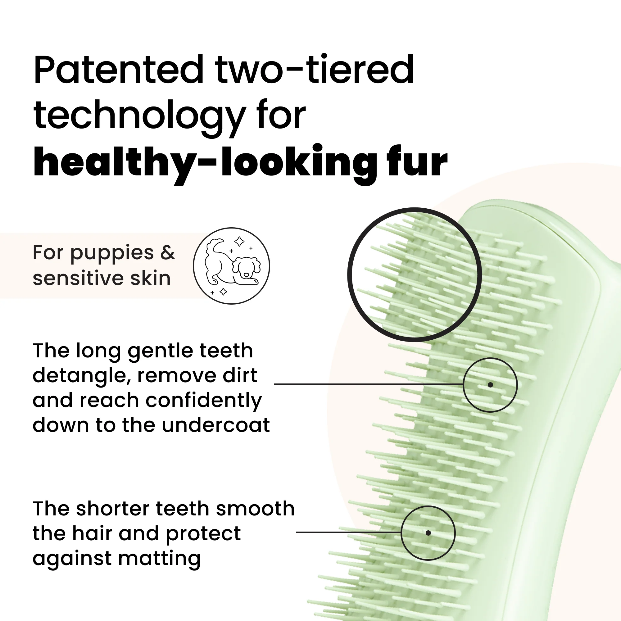 Puppy Brush - Image 4