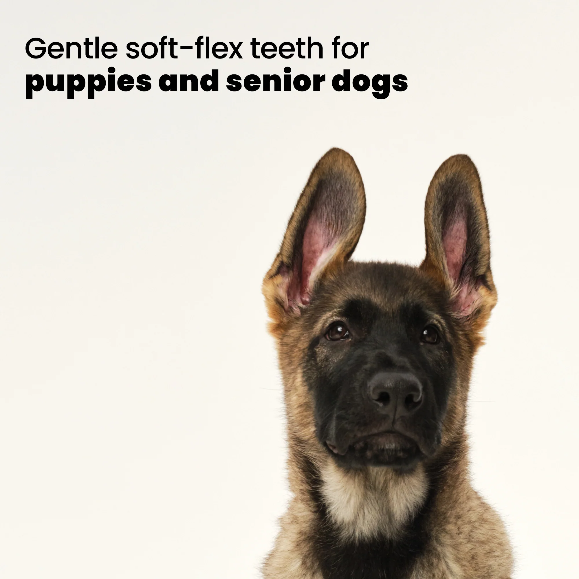 Puppy Brush - Image 9
