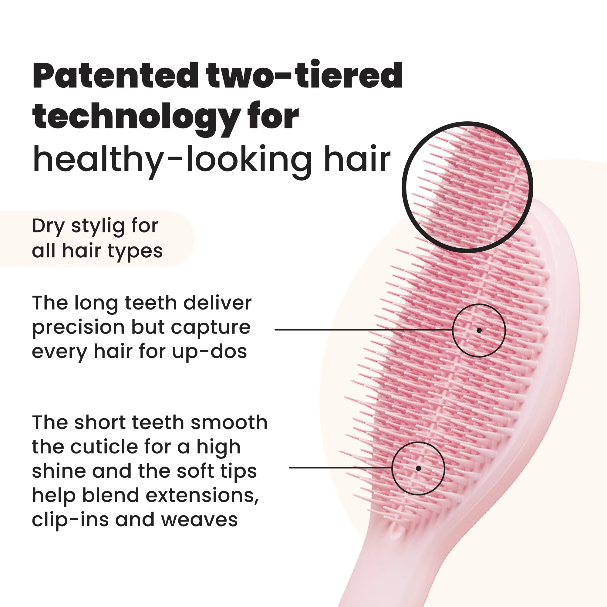 The Ultimate Styler - Image 4